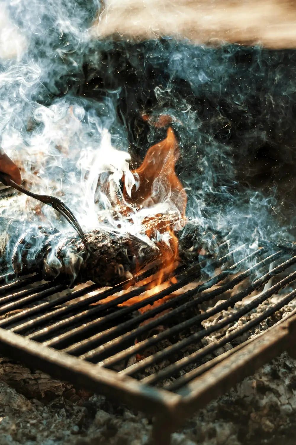 Meat searing on a grill over an open wood fire, wrapped in smoke